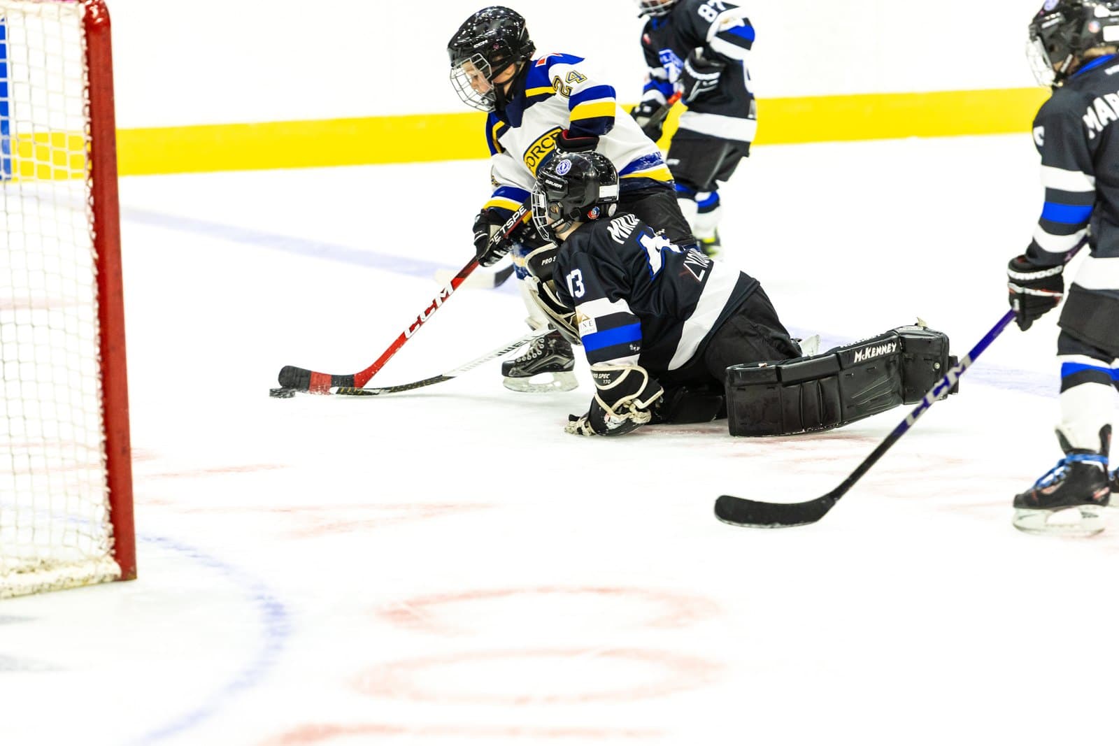 Bodies converge on the goal line as the goaltender smothers a loose puck