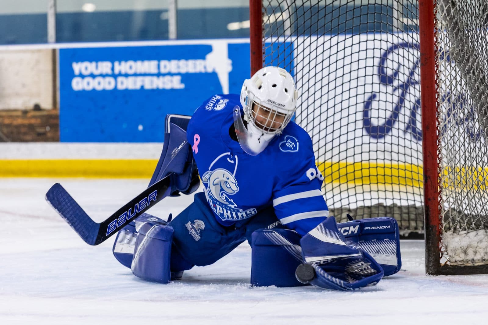 A goaltender drops into the butterfly and seals the ice across the crease