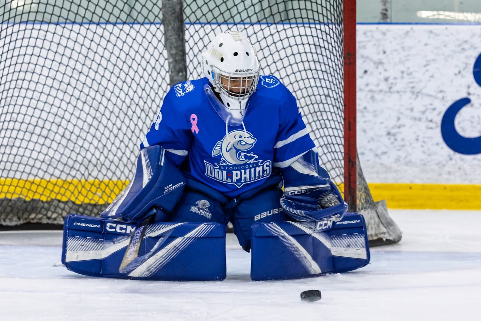 A goaltender square to the shooter, gloves up, puck sitting in the blue paint