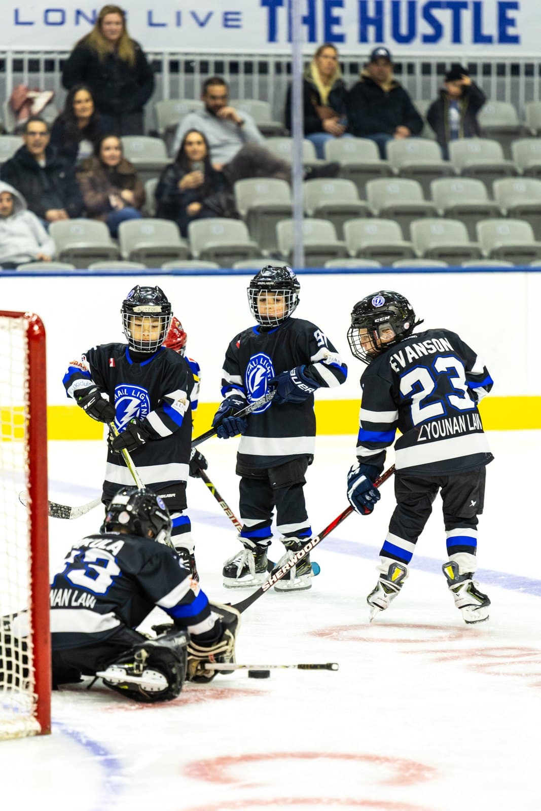 Heavy traffic in front of the net, sticks tangled over a loose puck